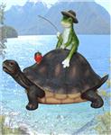 FRGD31340 Ticket to Ride Turtle on Frog